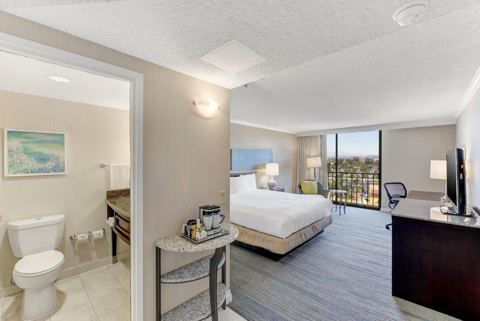 King Room Accessible Tub Mobility Access